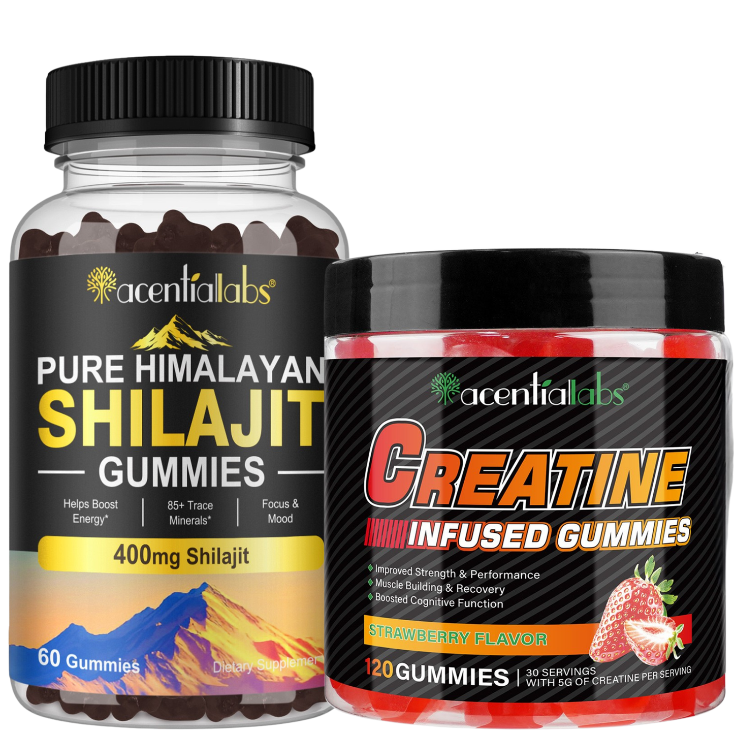 Energy Boost Pack (Shilajit + Creatine)